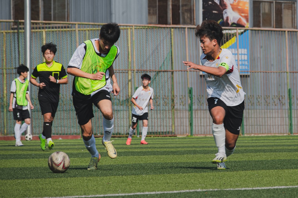 dace82e981e7454ebea2.jpg