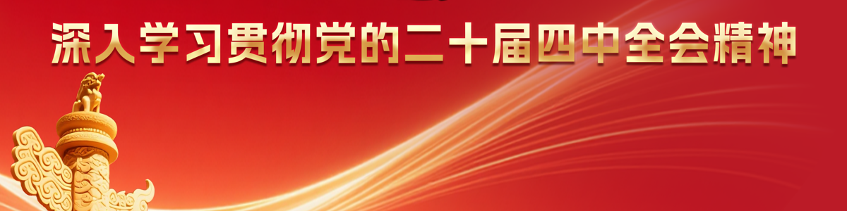 深入学习贯彻党的二十届四中全会精神